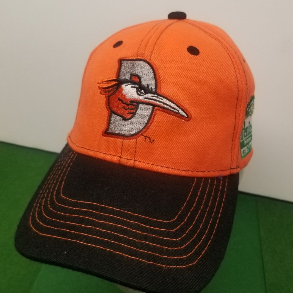 H18 - Delmarva Shorebirds Hat